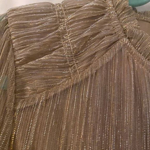 Joie Sparkly Gold and Beige Blouse - Picture 4 of 8